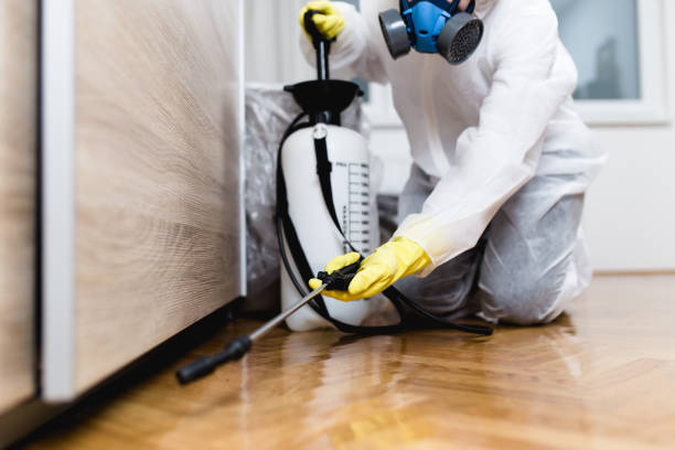 Flea Control Services in Indian Trail, NC
