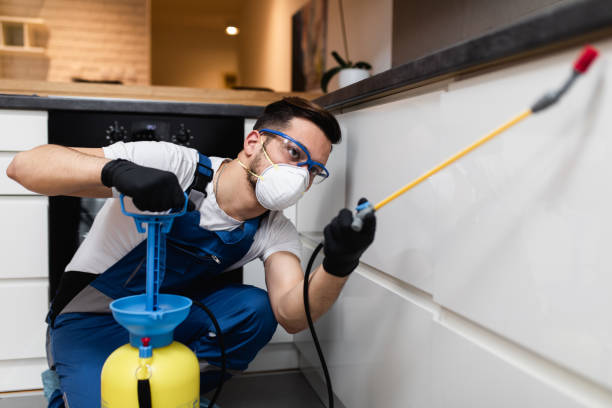 Best Wasp Removal Services  in Indian Trail, NC