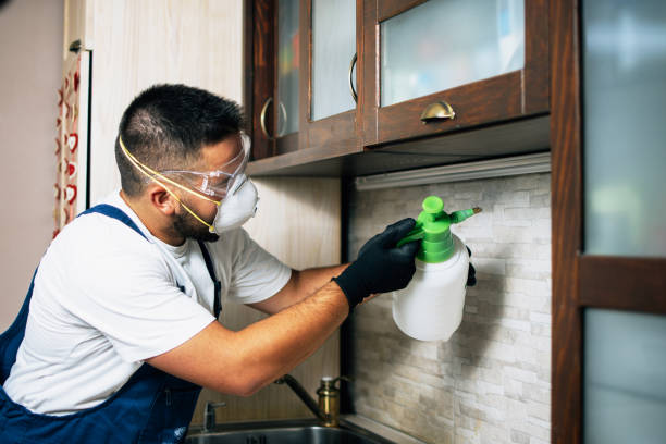 Best Pest Control Treatment  in Indian Trail, NC