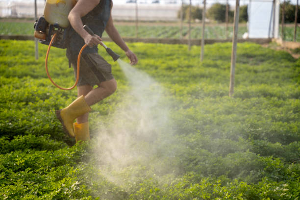 Best Pest Control Near Me in Indian Trail, NC